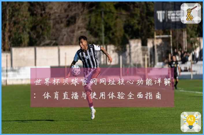 世界杯买球官网网址核心功能详解：体育直播与使用体验全面指南