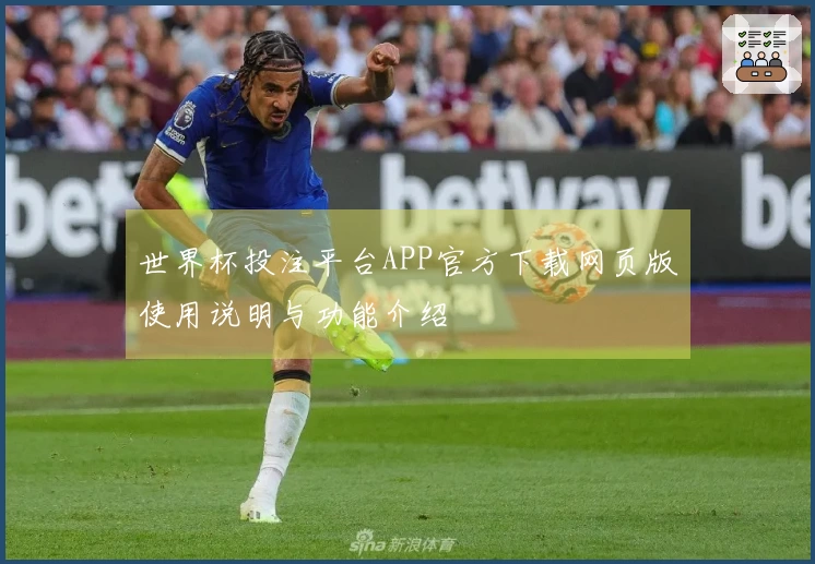 世界杯投注平台APP官方下载网页版使用说明与功能介绍