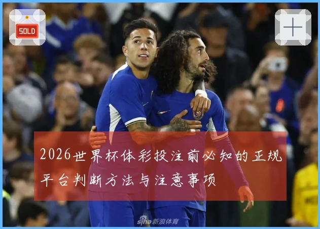 2026世界杯体彩投注前必知的正规平台判断方法与注意事项