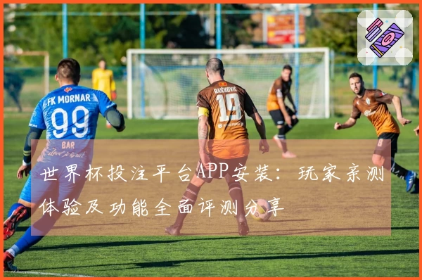 世界杯投注平台APP安装：玩家亲测体验及功能全面评测分享