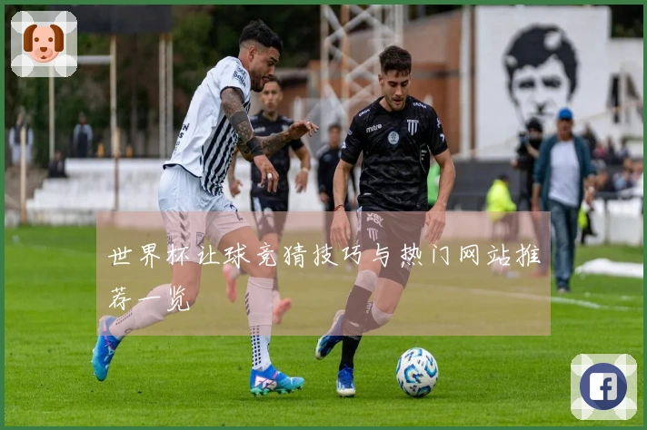 世界杯让球竞猜技巧与热门网站推荐一览