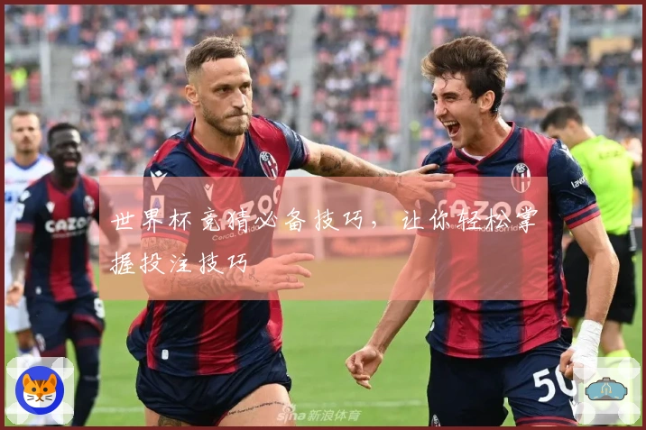 世界杯竞猜必备技巧，让你轻松掌握投注技巧