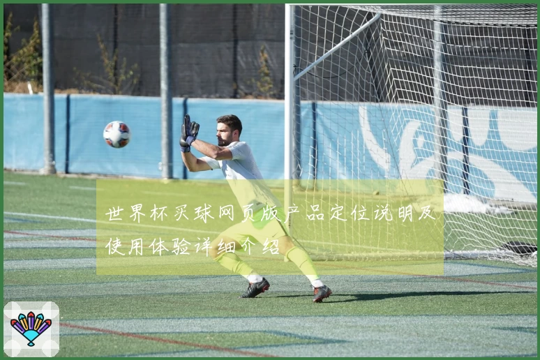 世界杯买球网页版产品定位说明及使用体验详细介绍