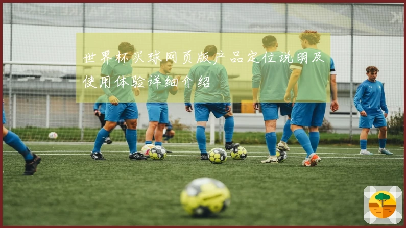 世界杯买球网页版产品定位说明及使用体验详细介绍