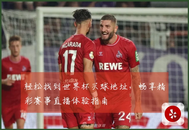 轻松找到世界杯买球地址，畅享精彩赛事直播体验指南