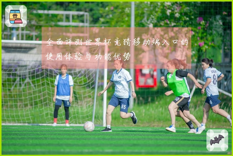 全面评测世界杯竞猜移动端入口的使用体验与功能优势