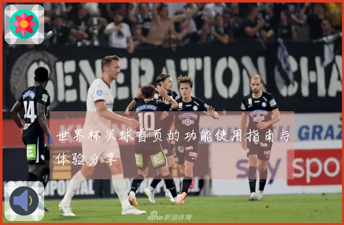 世界杯买球首页的功能使用指南与体验分享