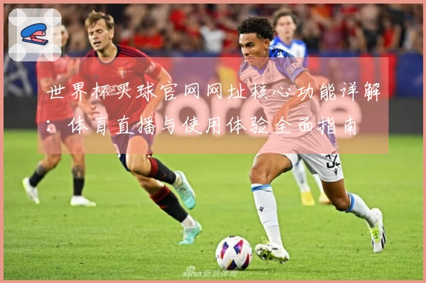 世界杯买球官网网址核心功能详解：体育直播与使用体验全面指南